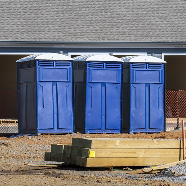 how often are the porta potties cleaned and serviced during a rental period in Cool Ridge West Virginia